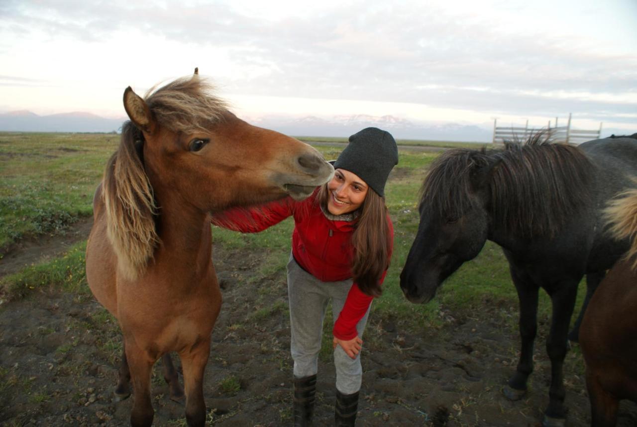Húsey Hostel&Horsefarm Egilsstaðir Buitenkant foto