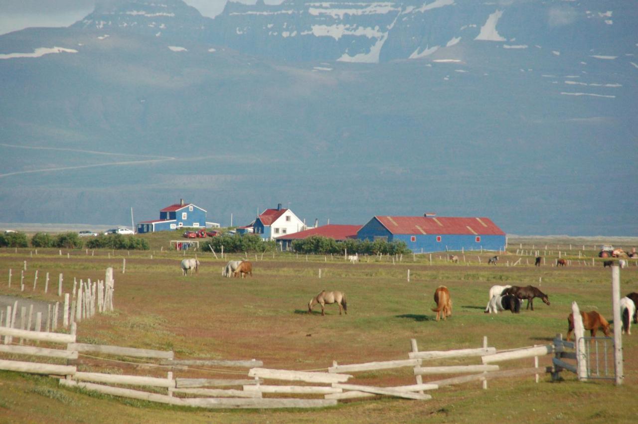 Húsey Hostel&Horsefarm Egilsstaðir Buitenkant foto