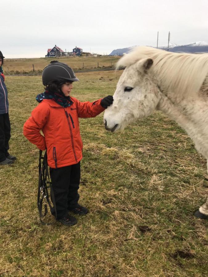 Húsey Hostel&Horsefarm Egilsstaðir Buitenkant foto