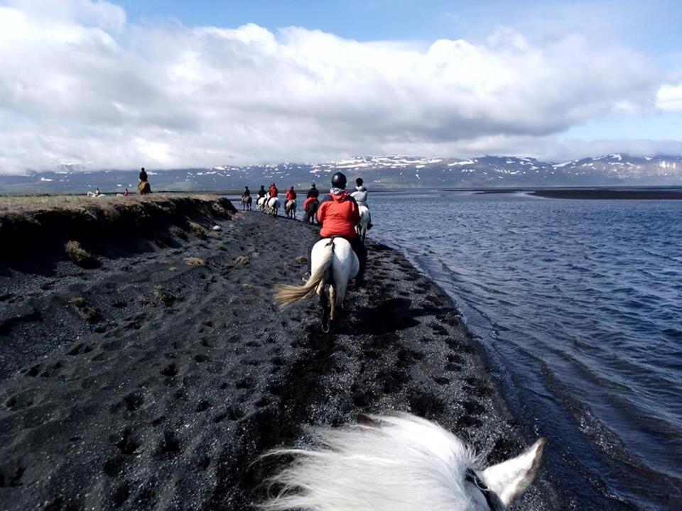 Húsey Hostel&Horsefarm Egilsstaðir Buitenkant foto
